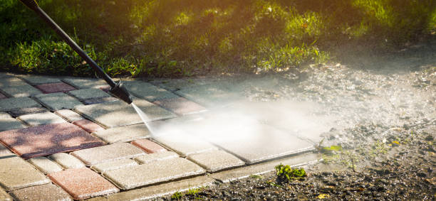 Solar Panel Cleaning in Lodi, OH